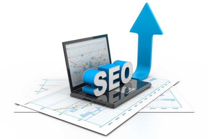 Search engine optimization (SEO)  business website